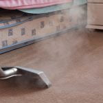 Steam cleaning a flea infested carpet.
