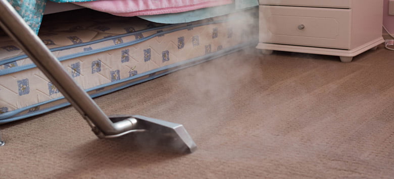 Steam cleaning a flea infested carpet.