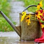 What you can do to fix the waterlogging of your soil.