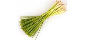 Lemongrass and Citronella grass