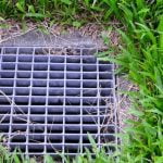 How to Maintain Your Backyard Drains