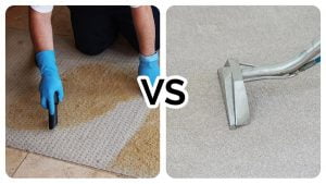 Dry Carpet Cleaning VS. Steam Cleaning