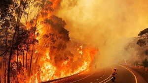 Australian Bushfire Fundraiser & Other Ways to Help