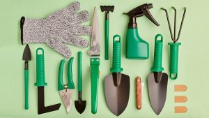 Tools you will need for your gardening project