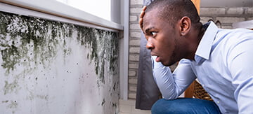 Mould in a rental property - everything you need to know if you are a tenant - Featured Image