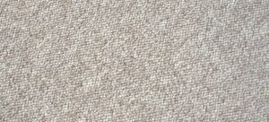 How to clean nylon carpet