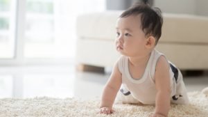 How to remove vomit stains from the carpet
