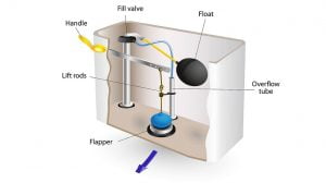 Graphic of toilet's flushing mechanism