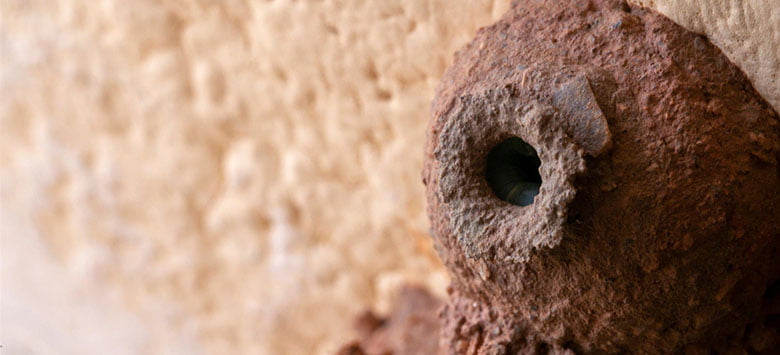 How do wasps make nests?