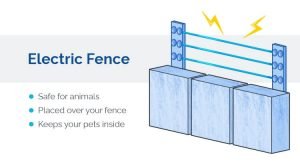 Protecting your garden with an electric fence