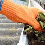 Who is Responsible for Cleaning Gutters in a Rental Property - Featured Image
