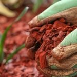 How to Mulch - Featured Image
