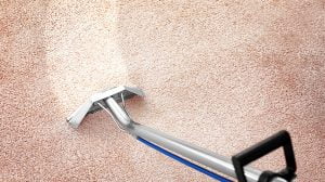 Do Tenants Have to Pay for Carpet Cleaning