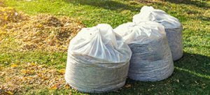 Removing Green Waste from Your Home - Featured Image