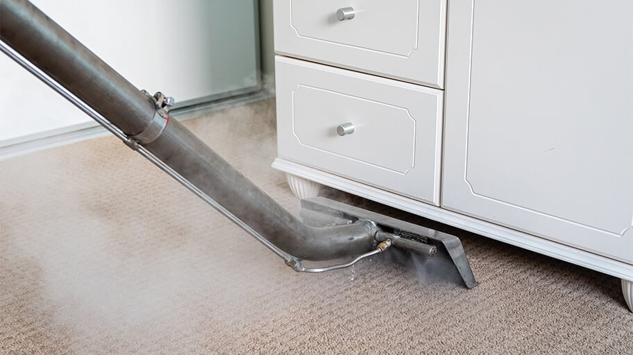 Steam cleaning a carpet to get rid of carpet beetles