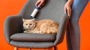 How to clean upholstered chairs