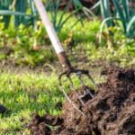How to Use Compost in Your Garden - Featured Image