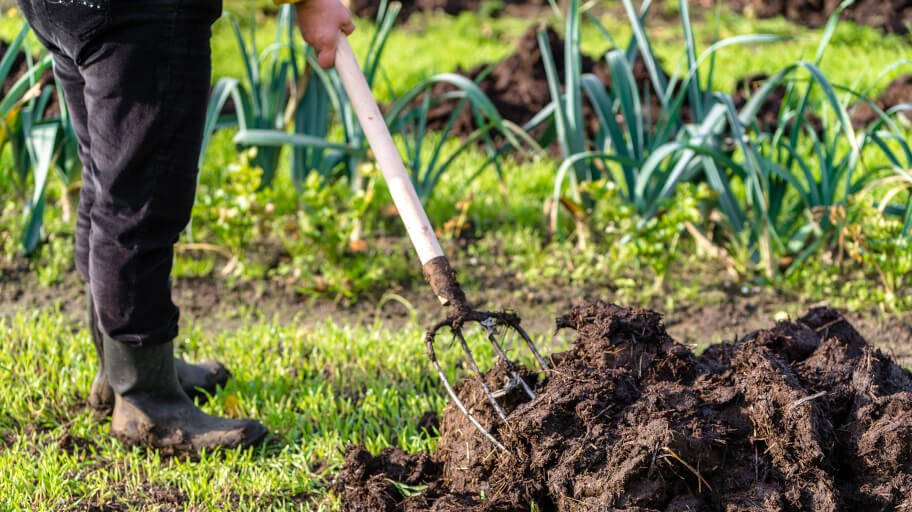 How to Use Compost in Your Garden