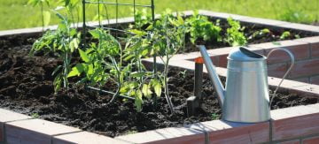 Choose the Best Soil for a Vegetable Garden - Featured Image