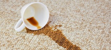 How to Get Coffee Stains Out of a Carpet - Featured Image