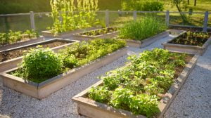 Top Raised Garden Bed Ideas Inexpensive and Doable