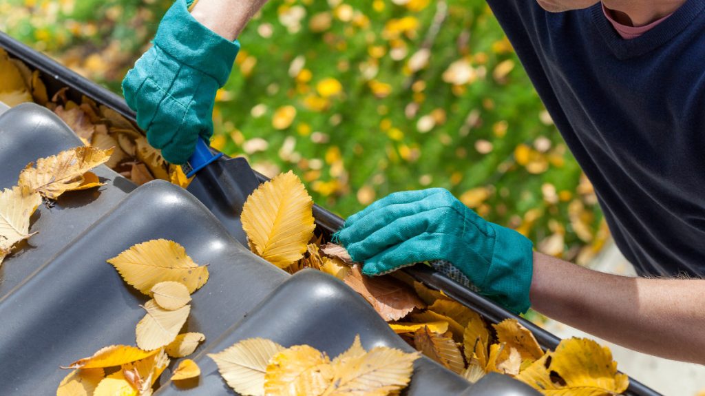 Man manually cleaning gutters from yellow leaves and debris; he's wearing blue gloves.