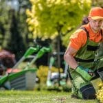 End of lease garden clean-up