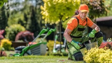 End of lease garden clean-up