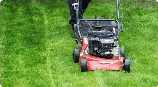 Fantastic Gardener mowing lawn